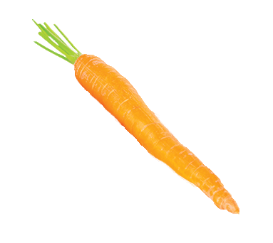 carrote legumes fermentes